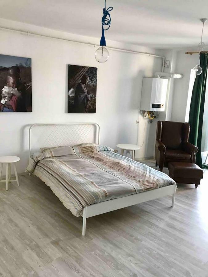 Beautiful Studio Near The Center Of Cluj Cluj-Napoca Exterior foto